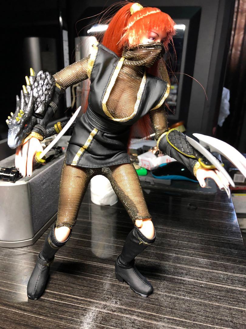 ZC girl Risa (Ninja/Dragon girl), Hobbies & Toys, Toys & Games on Carousell