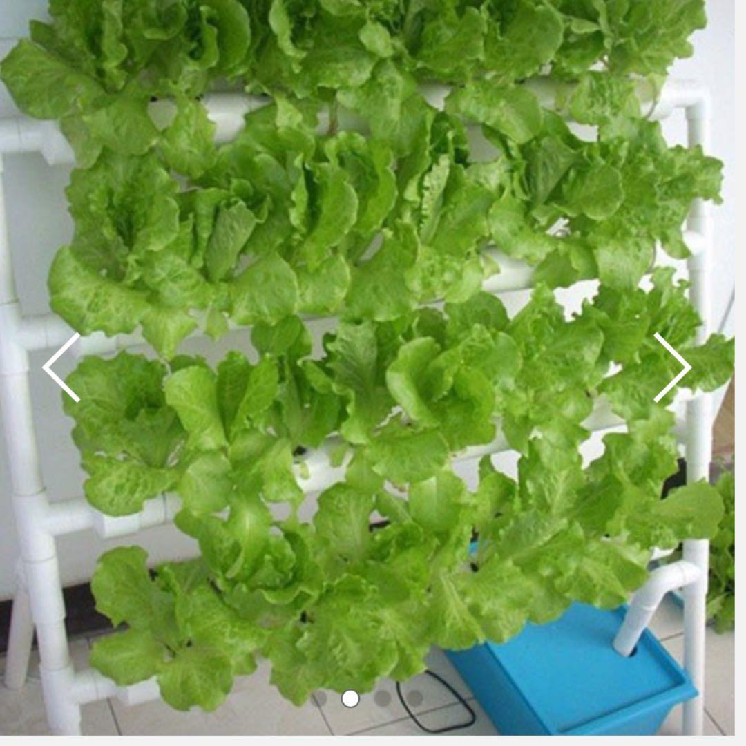 36pot Hydroponics NFT System DIY aeroponics aquaponics, Gardening