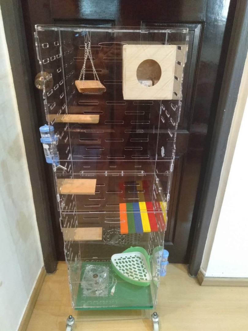 Acrylic shop chinchilla cage