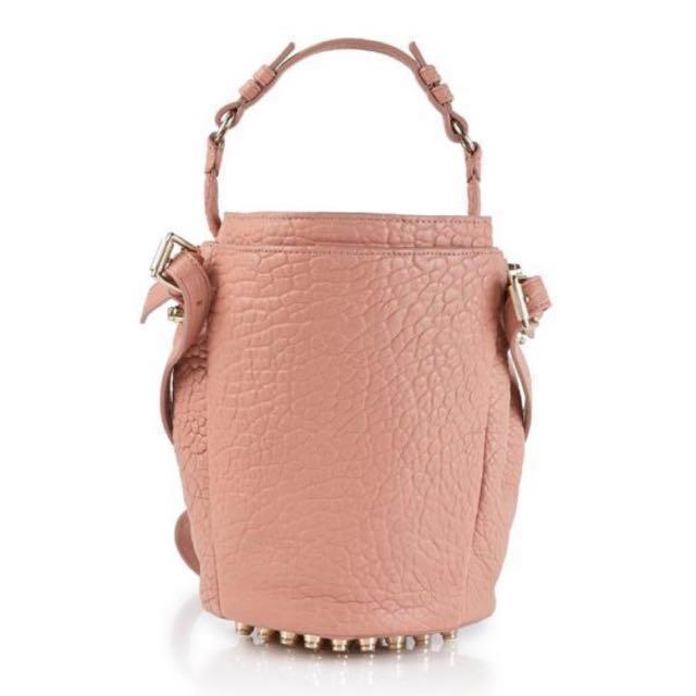 Alexander wang small diego online