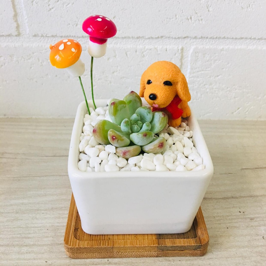 Dog Themed Home Decor Items Gardening Plants On Carousell