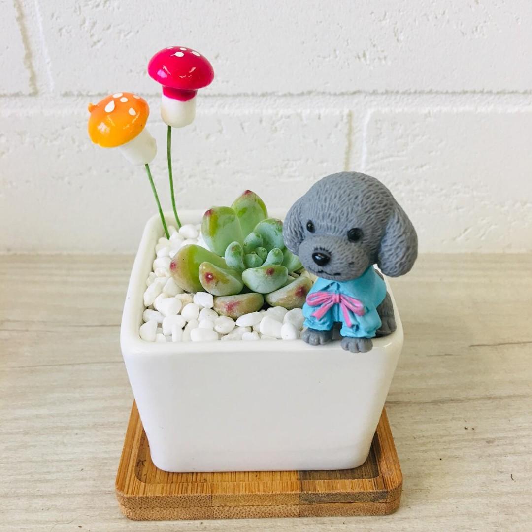 Dog Themed Home Decor Items Gardening Plants On Carousell