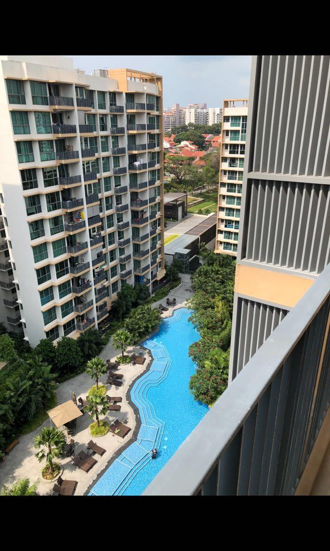 Unique Apartments For Rent East Coast Singapore with Luxury Interior Design