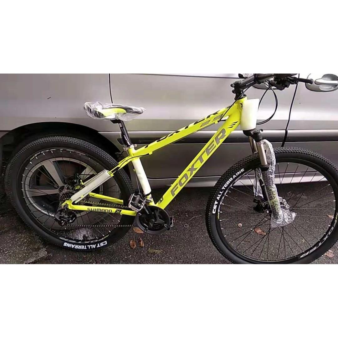 Foxter 29