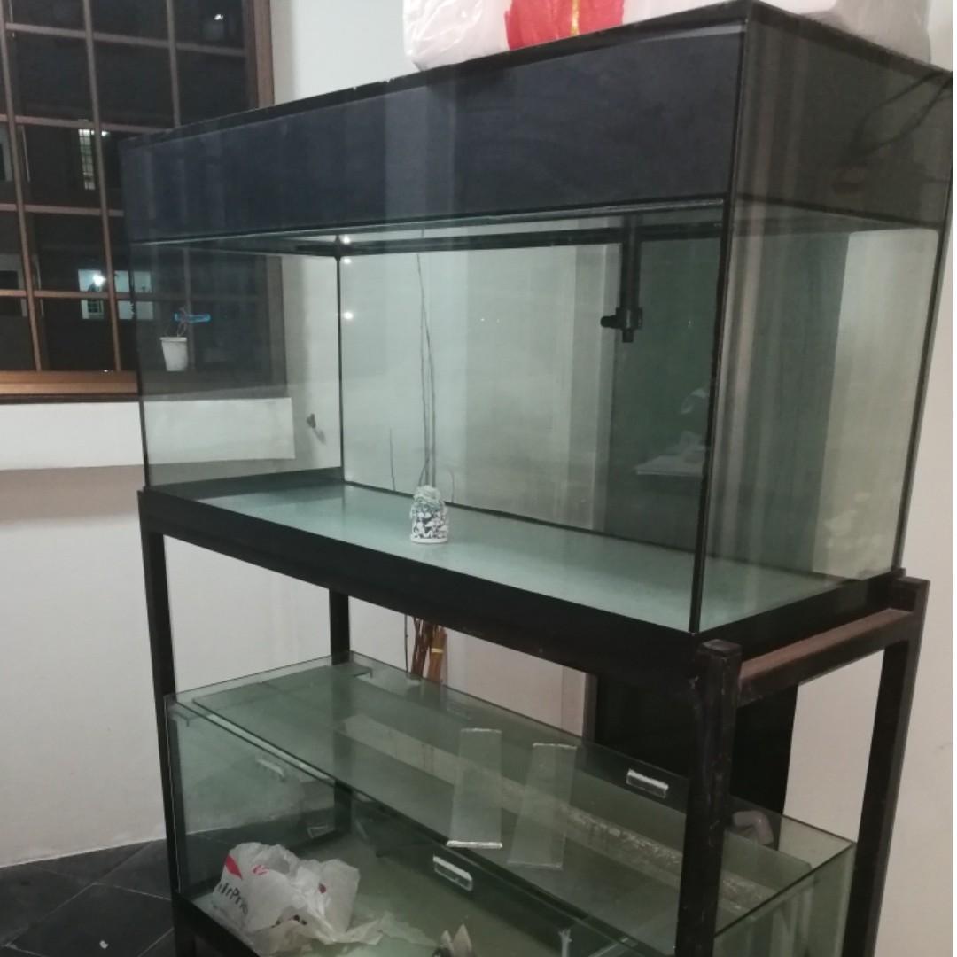 Two 4 Feet By 1 5 Feet Fish Tank To Let Go Pet Supplies Homes Other Pet Accessories On Carousell