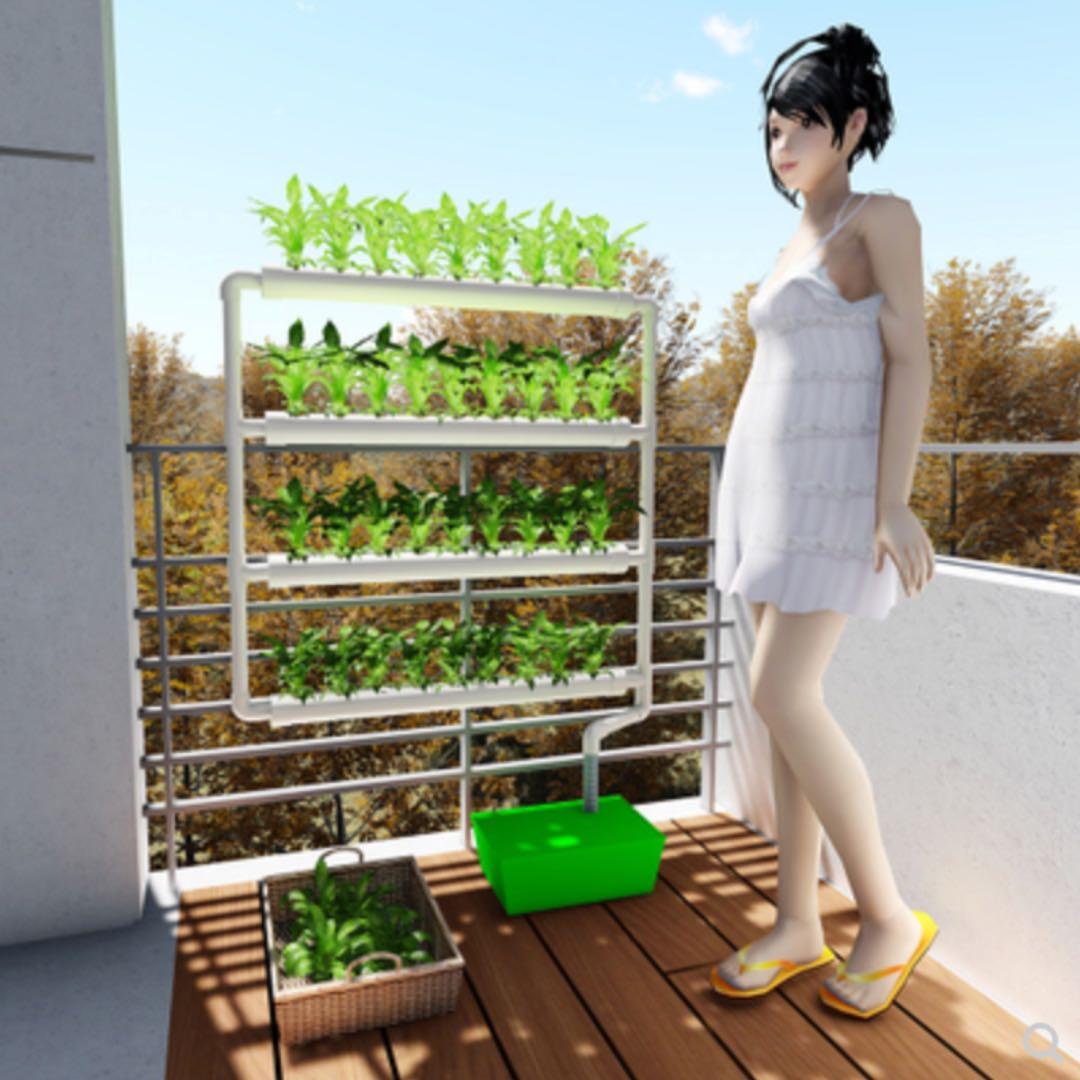 Wall Mount Hydroponics Nft Or Aquaponics Gardening On Carousell
