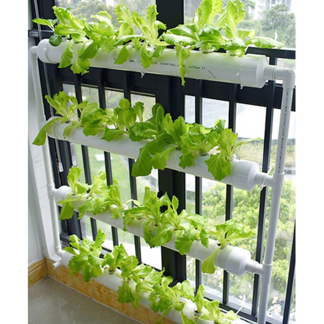 Wall Mount Hydroponics Nft Or Aquaponics Gardening On Carousell