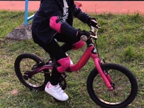 orbea grow bike