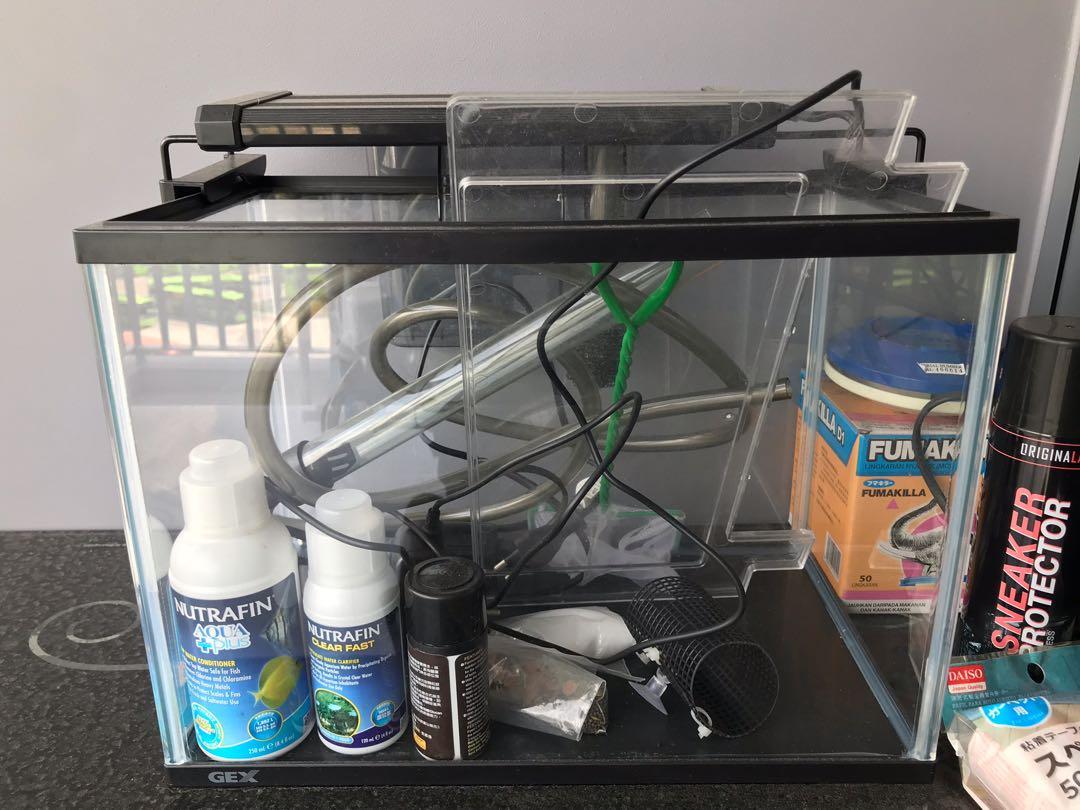 Daiso cheap fish tank