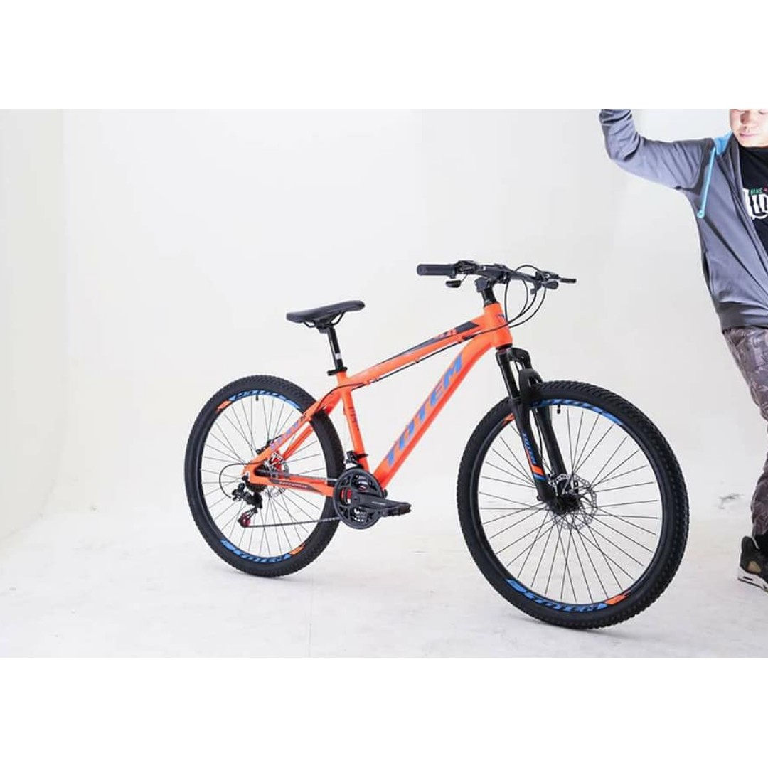 totem bmx bike