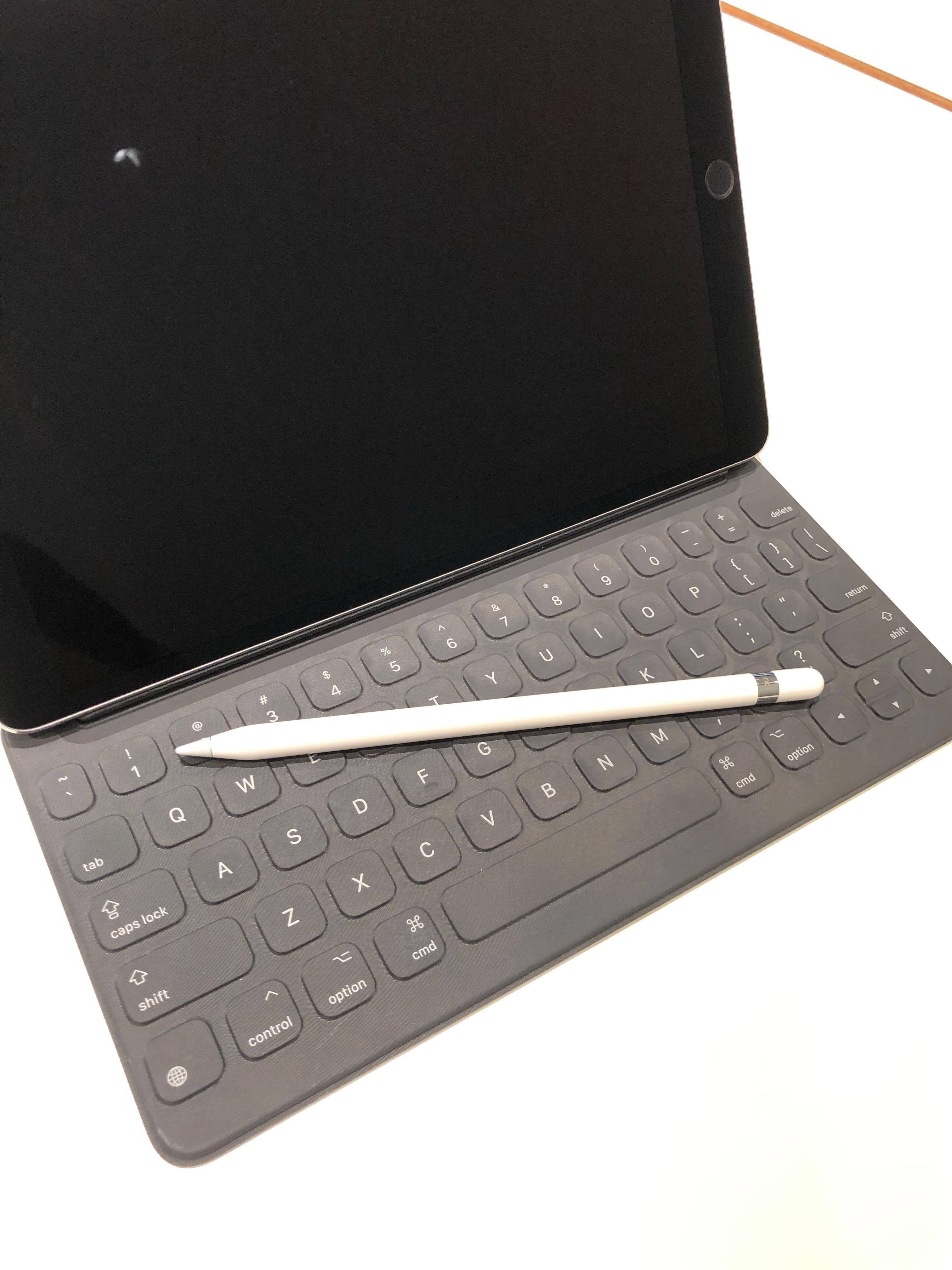 iPad pro 10.5インチ 512G Wi-Fi Pencilスマホ/家電/カメラ - ceskymak.cz