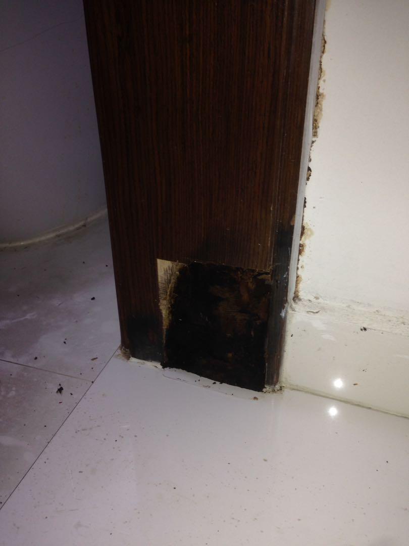Repair Damaged Door Frames Furniture Others On Carousell