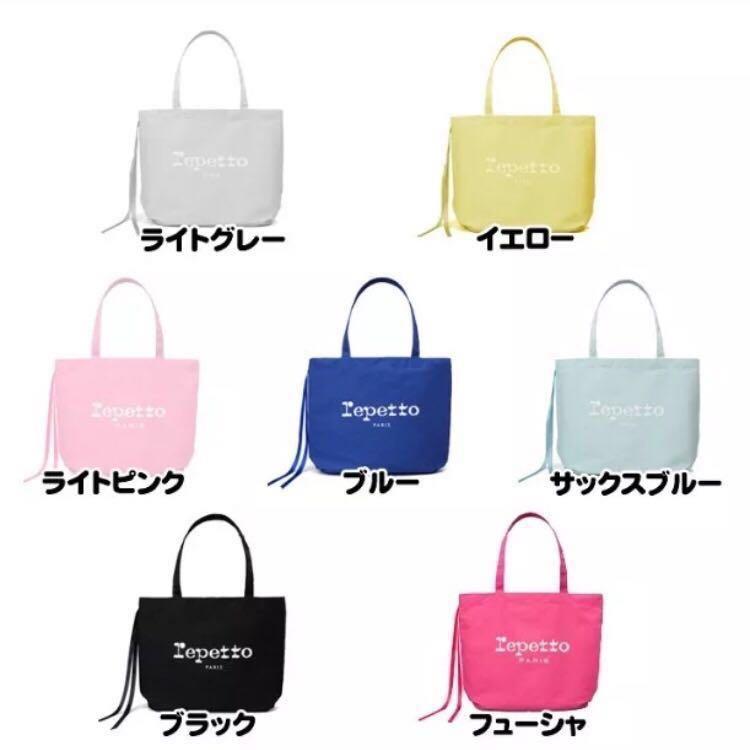 Repetto ballet bag