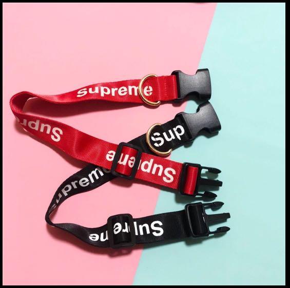 SUPREME DOG COLLAR AND LEASH Pet Supplies Homes Other Pet