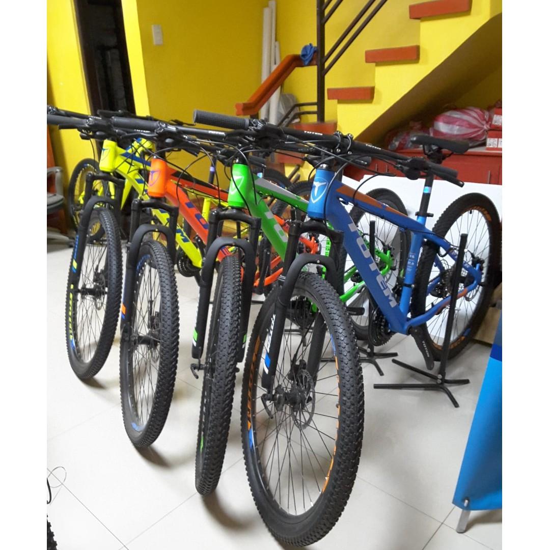 totem 24 inch mountain bike