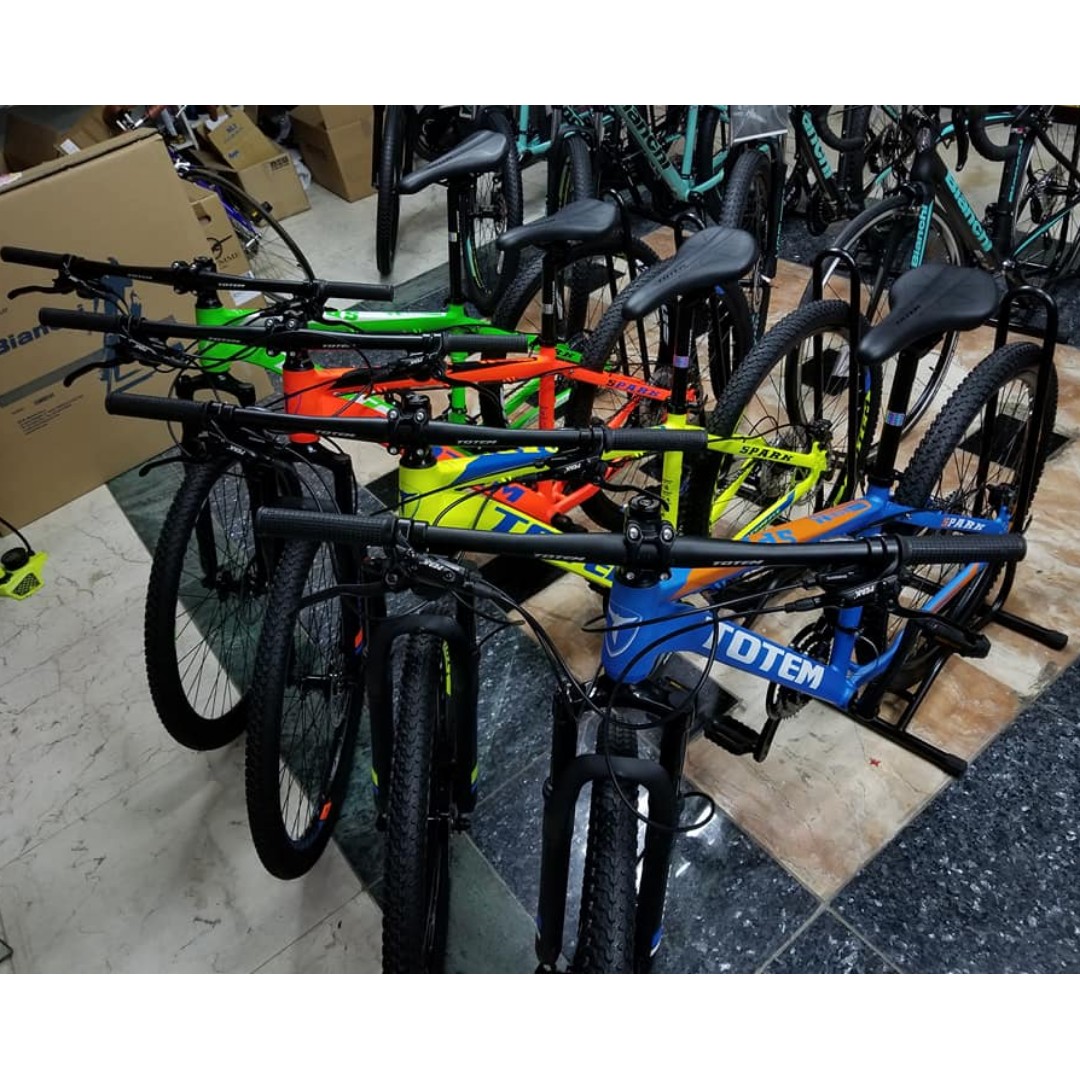 totem fat bike