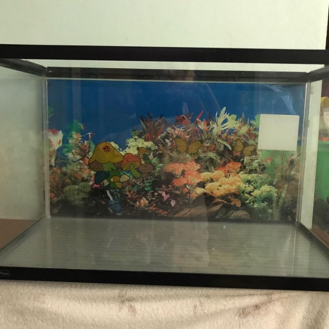 2 Feet Large Fish Tank 60cm X 30cm X 36cm Pet Supplies Homes Other Pet Accessories On Carousell