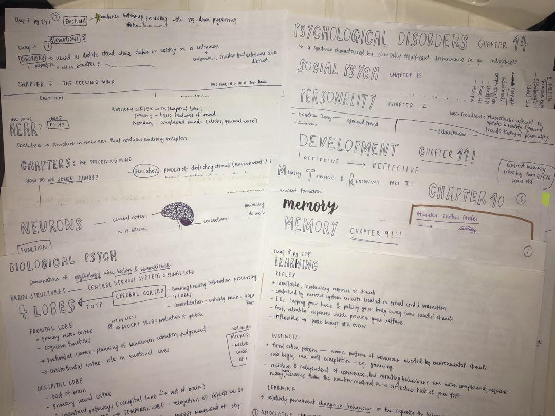 PL1101E Notes (Category: Assessment Books) located in Singapore. Submitted by kranjang (Listing ID 202010598, Image 2). Description: QYOP but please be reasonable, a lot of hard work and effort has been put into my notes :) Scanned versions avail too. You can see these as cheat sheets. Really hope this would help you! Don’t want to throw because it’s good information. I wrote important info from the lecture slides and TB into 36 pages, for chapte