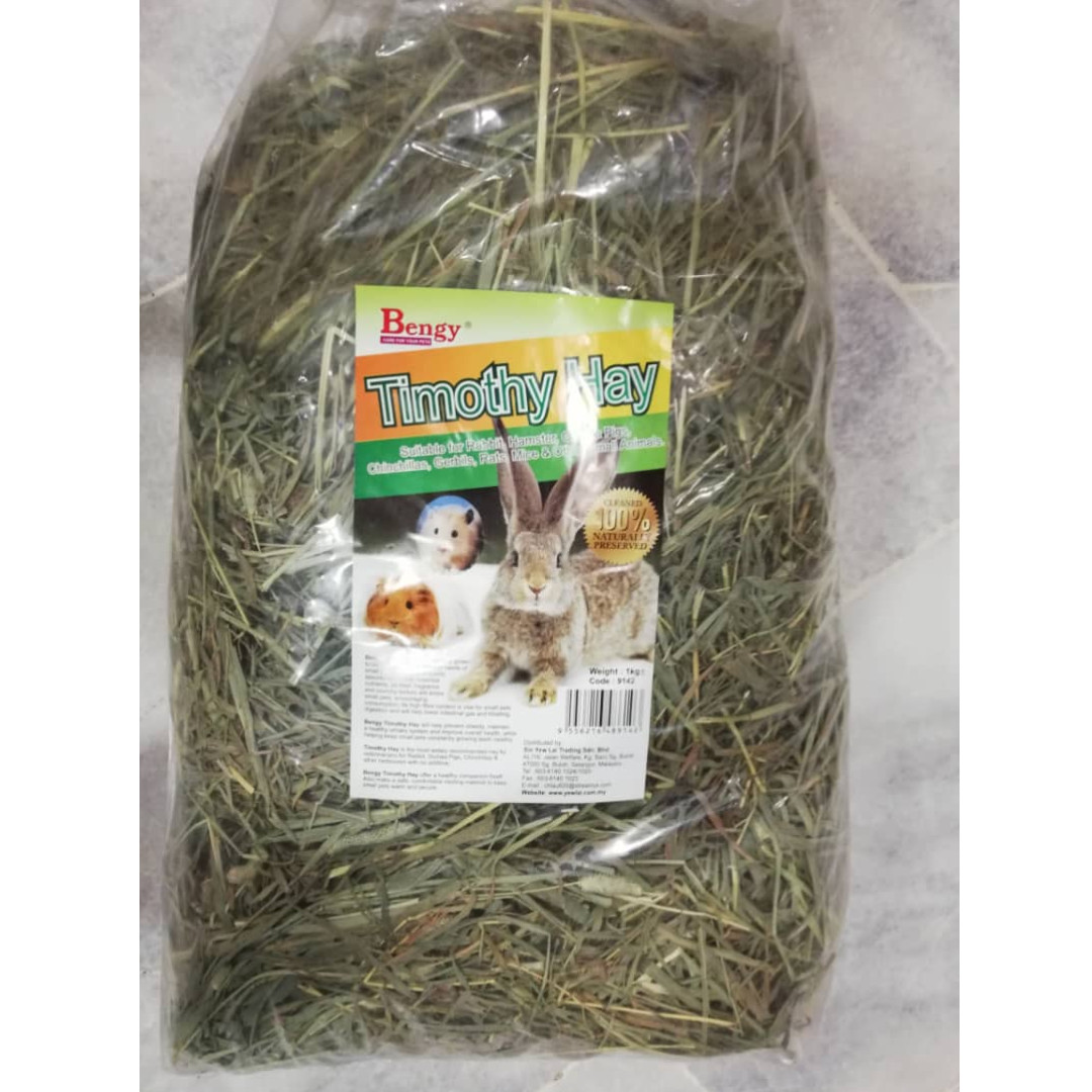 Makanan hotsell guinea pig