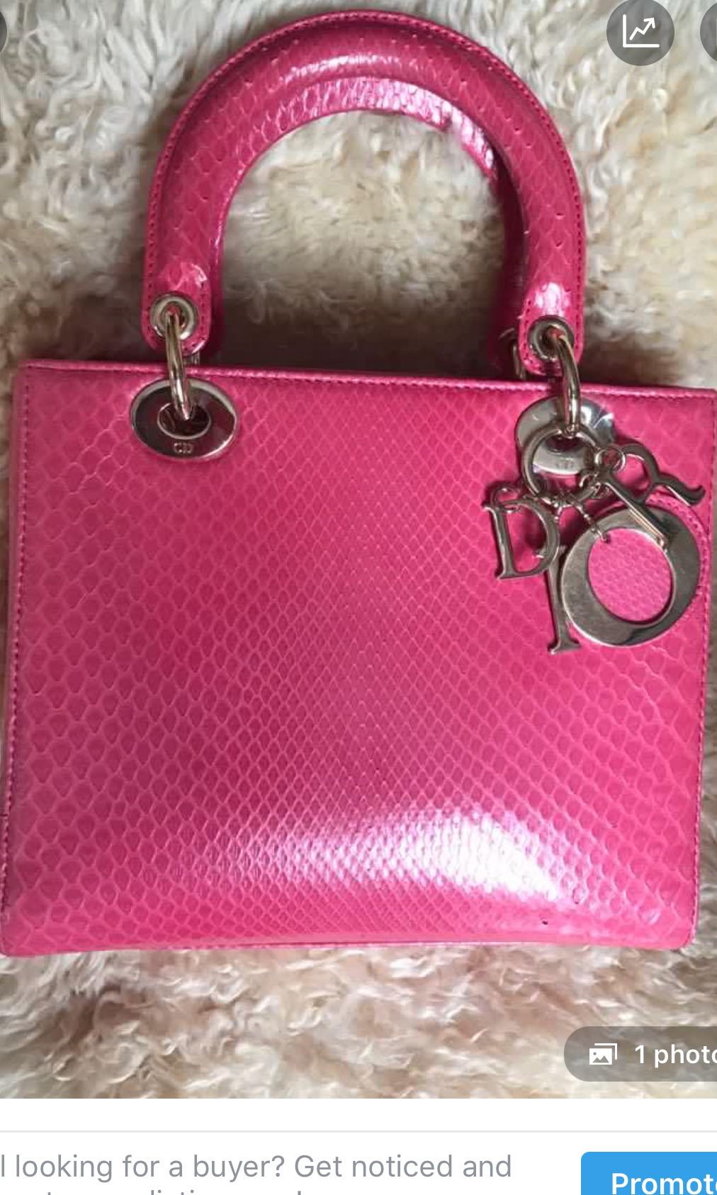 Dior Bag Singapore Madly Indian