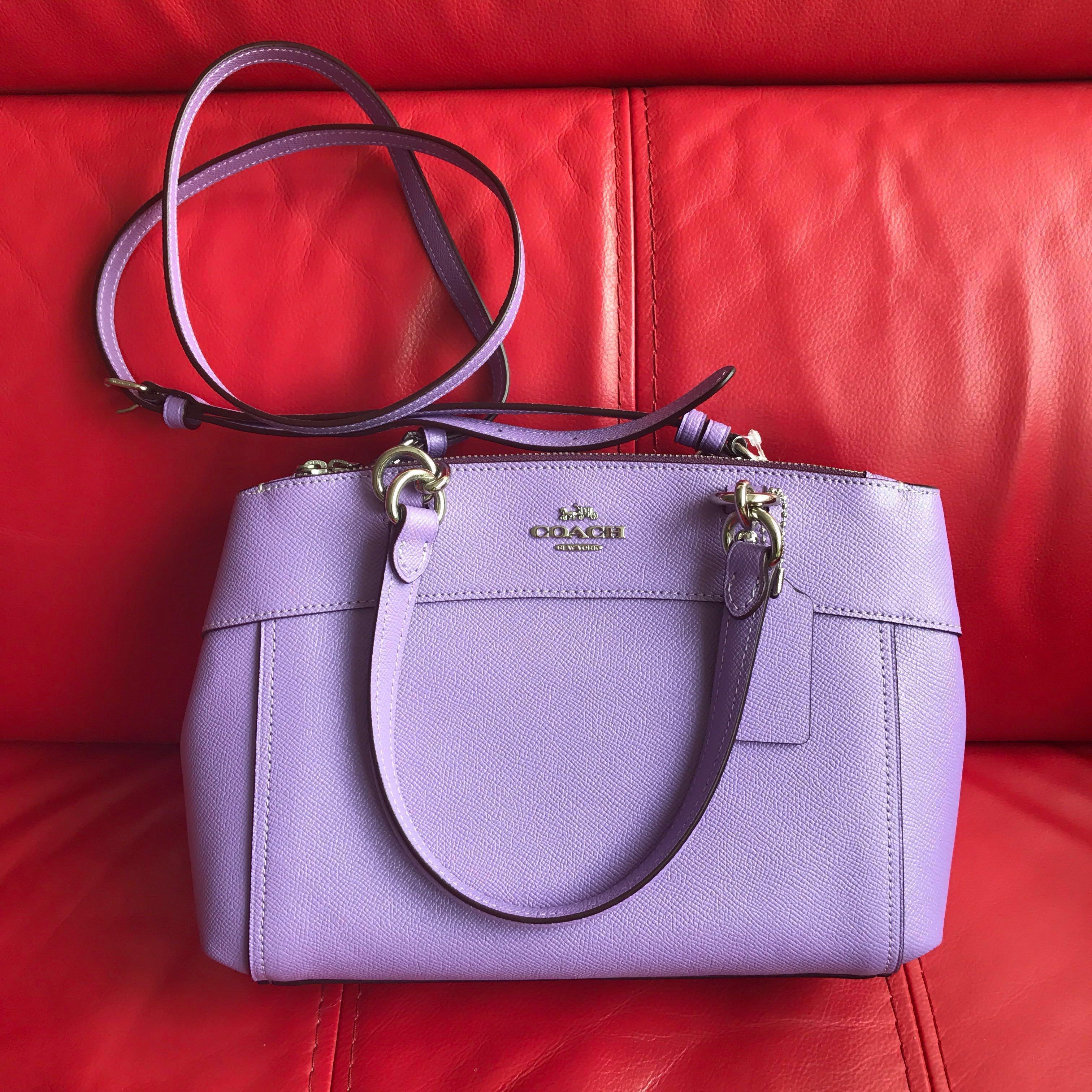 mini brooke carryall coach