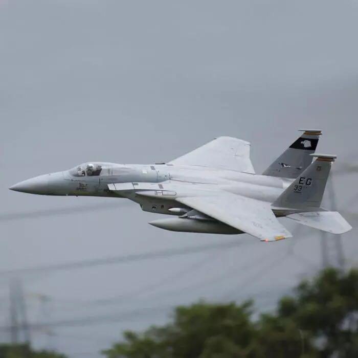 Freewing f15 online