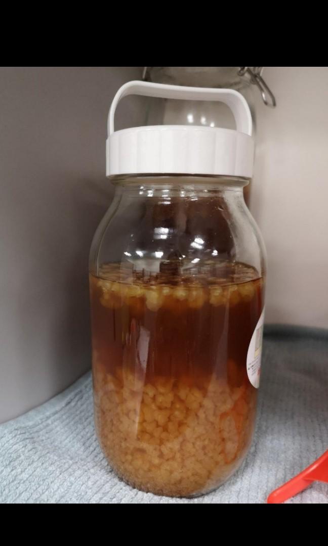 Harvesting Water Kefir Grains For Sale Comes With Glass Bottle Food Drinks Beverages On Carousell