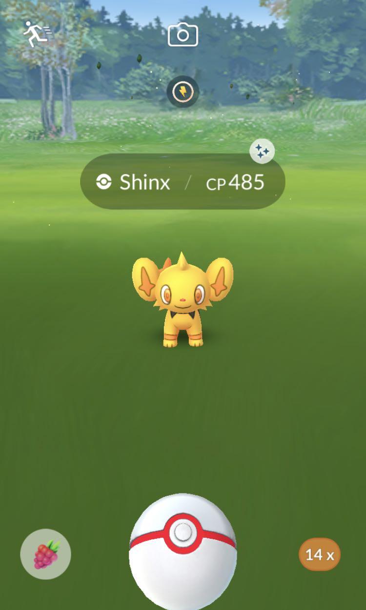 Shiny Shinx Pokemon Go Toys Games Video Gaming In Game Products On Carousell - shiny shinx roblox