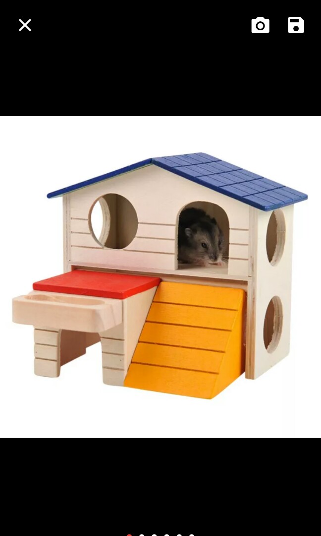 Brand New Double Y Wooden House Endgameyourexcess Pet Photo
