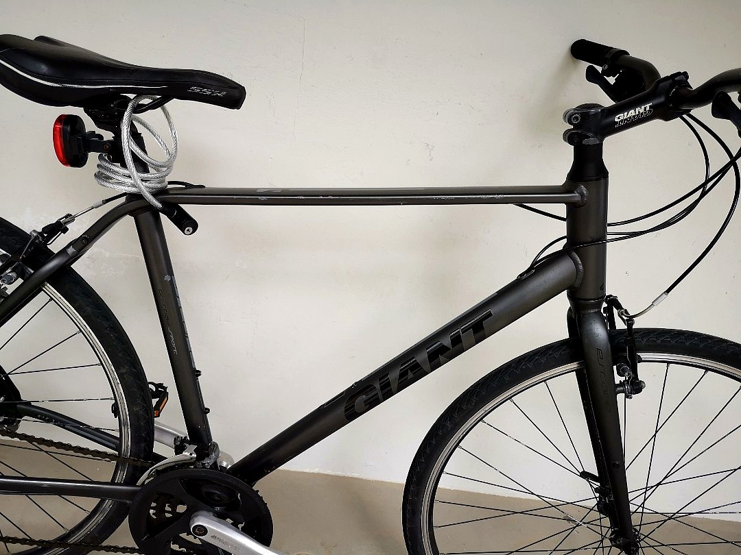 Giant Escape Touring 2024 www.alhudapk