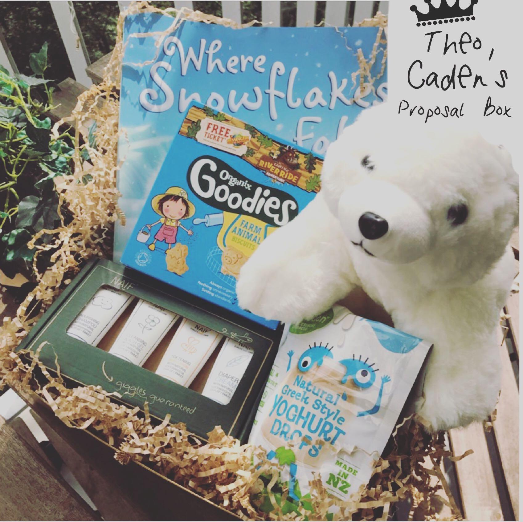 Page Boy Flower Girl Ring Bearer Proposal Box 70 180 Design