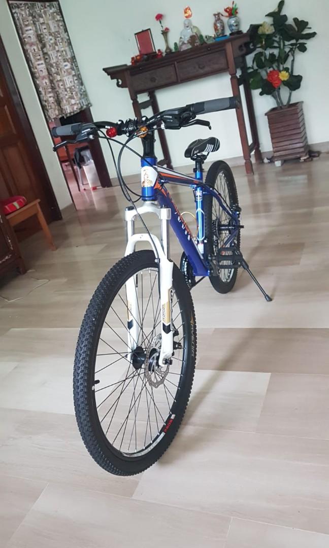 raleigh indoor bicycle trainer black