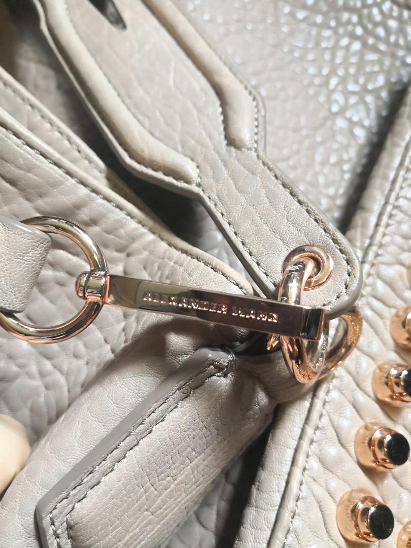 Alexander wang best sale mini darcy