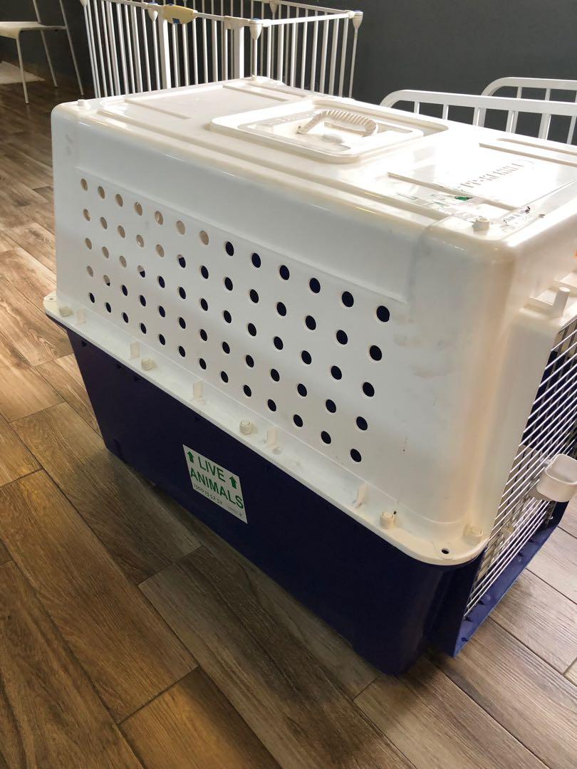 Dog Crate PP60 airline approved XXL, Pet Supplies, Homes & Other Pet
