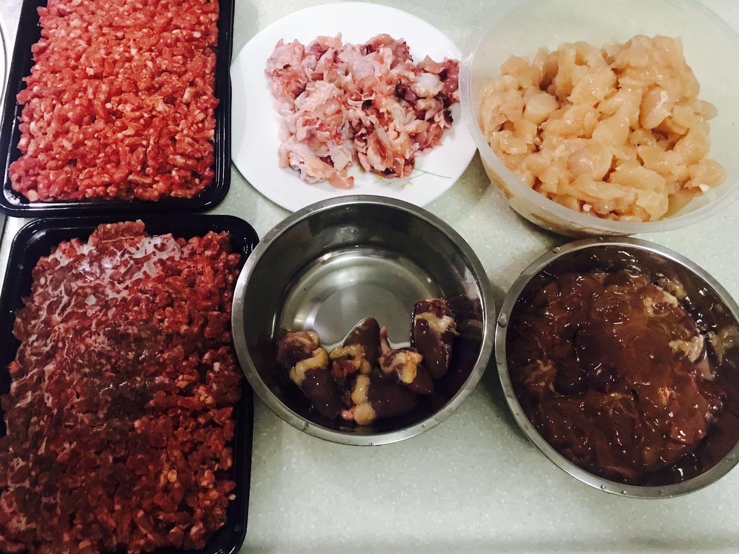 Halal Raw Cat&Kitten Food, Pet Supplies, Pet Food on Carousell