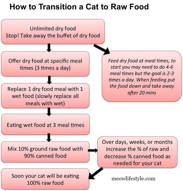 Halal Raw Cat&Kitten Food, Pet Supplies, Pet Food on Carousell