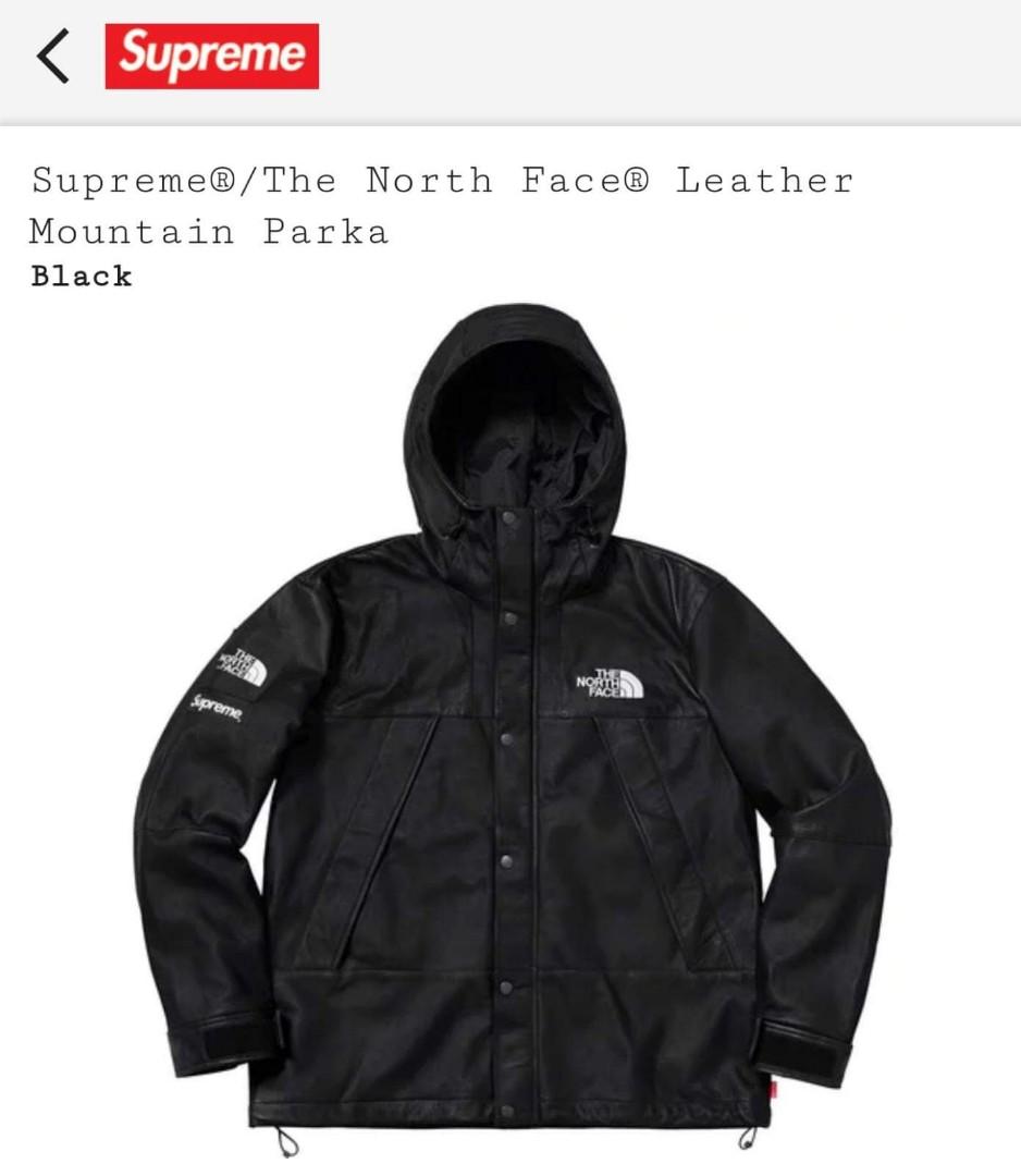 supreme north face leather mountain parka