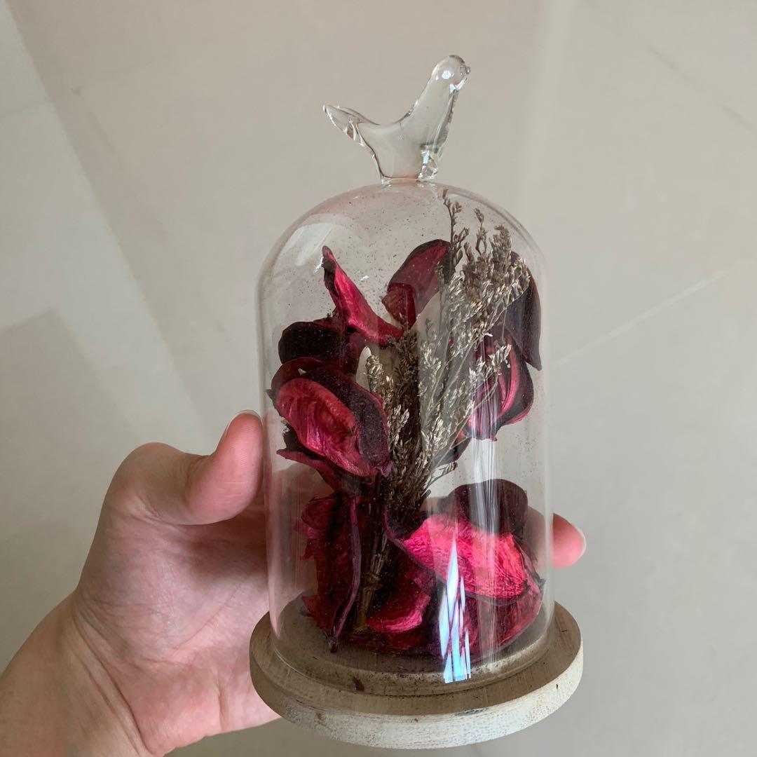 Bell Jar Decoration With Bird On Top Furniture Home Decor Others On Carousell