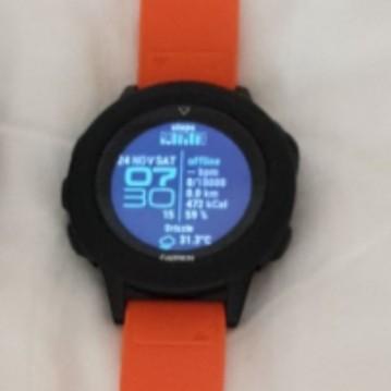 Garmin fenix 5 plus screen protector top