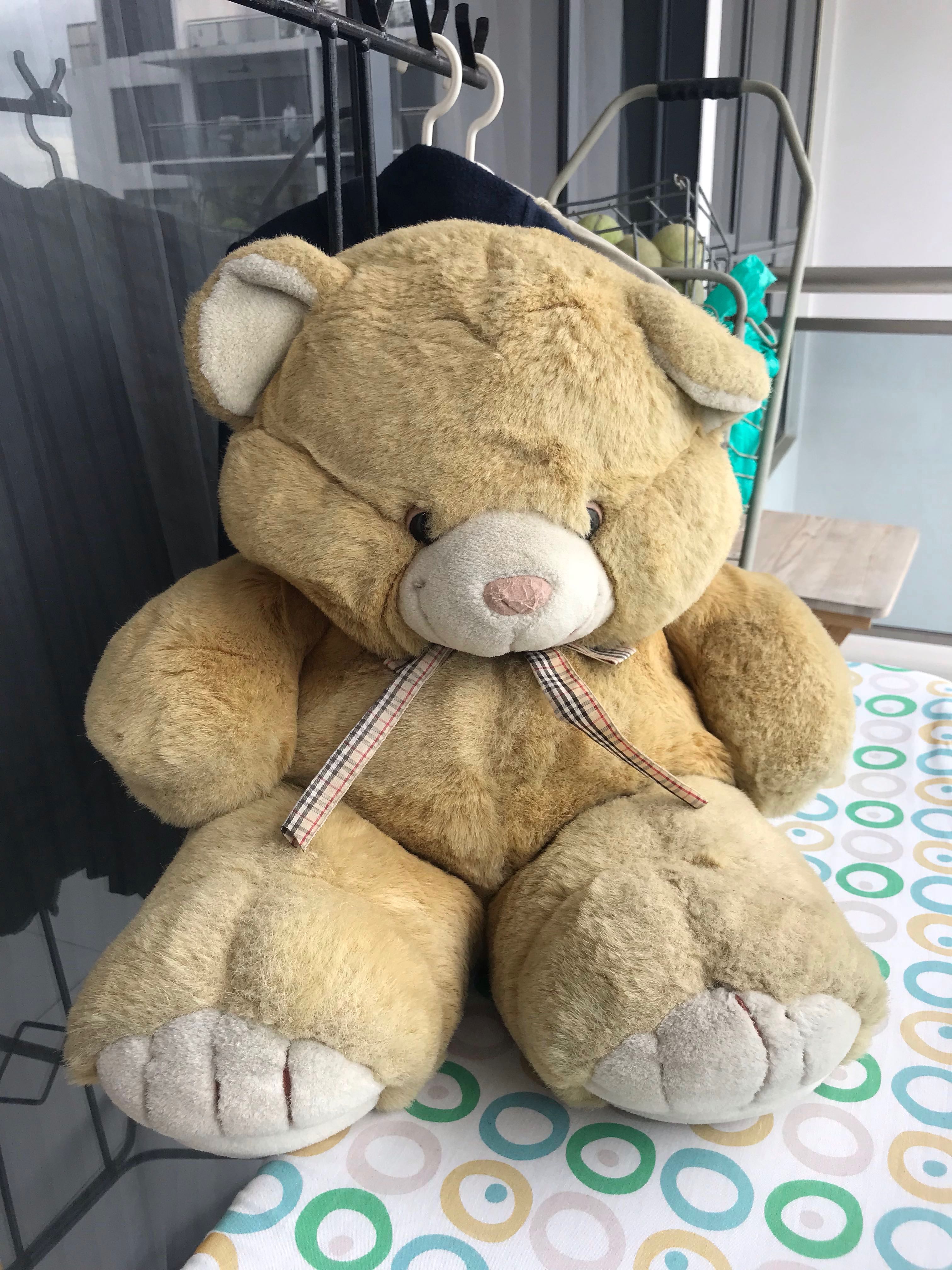 Gigantic teddy bear, Hobbies & Toys, Toys & Games on Carousell