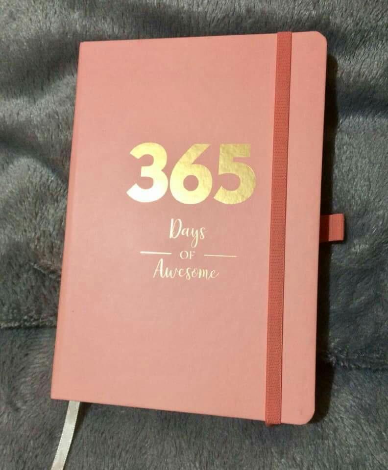 Download Limelight 365 Days Of Awesome 2019 National Bookstore Planner Pastel Pink Hobbies Toys Stationary Craft Other Stationery Craft On Carousell