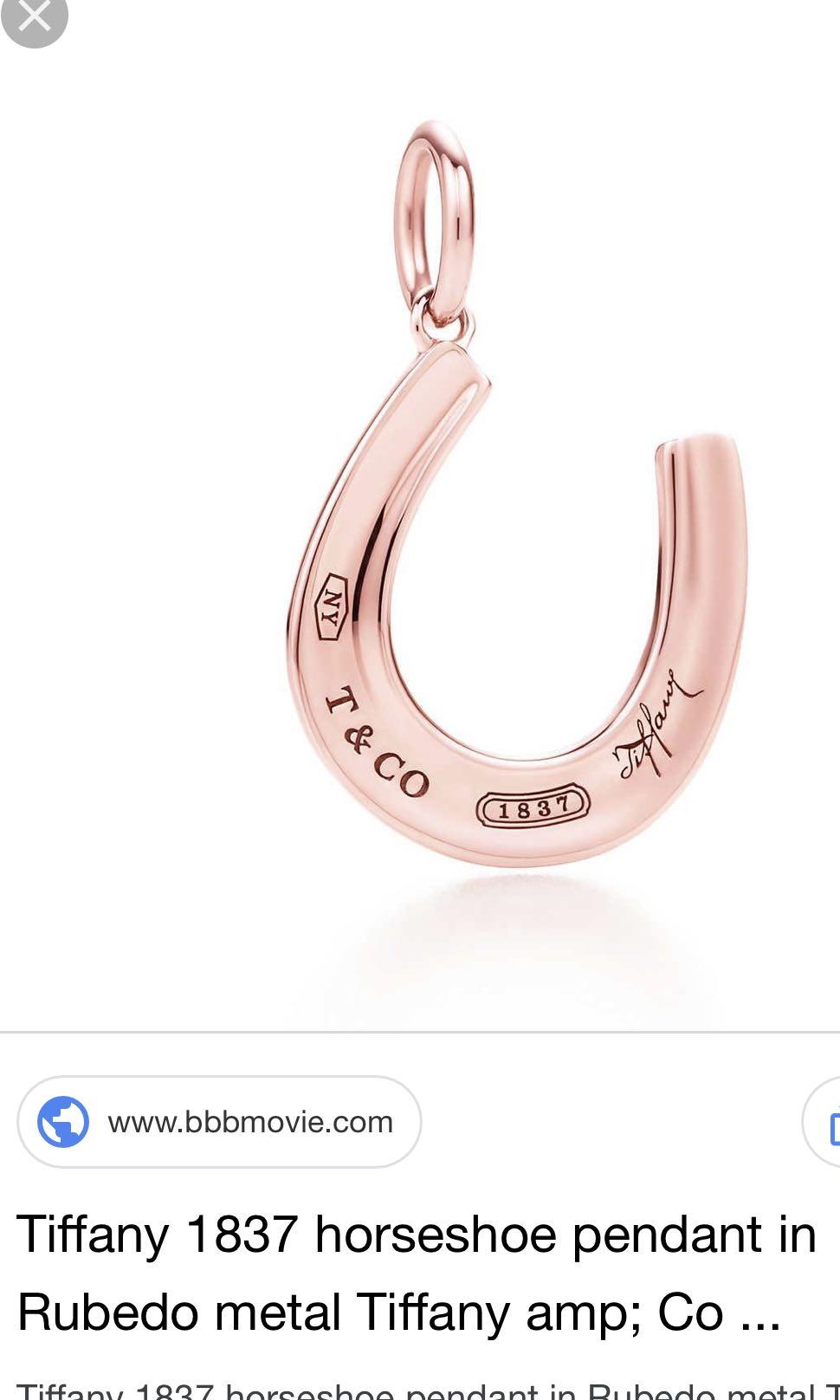 Tiffany \u0026 Co horseshoe Charm (Rubedo