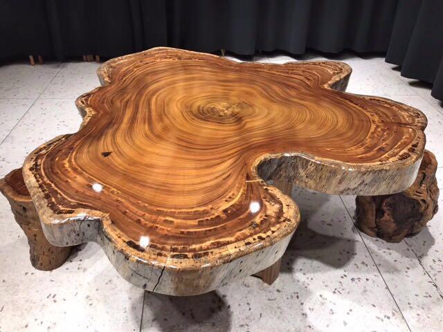 Flower Live Edge Slab Design Round Zebra Wood Slab Coffee Home