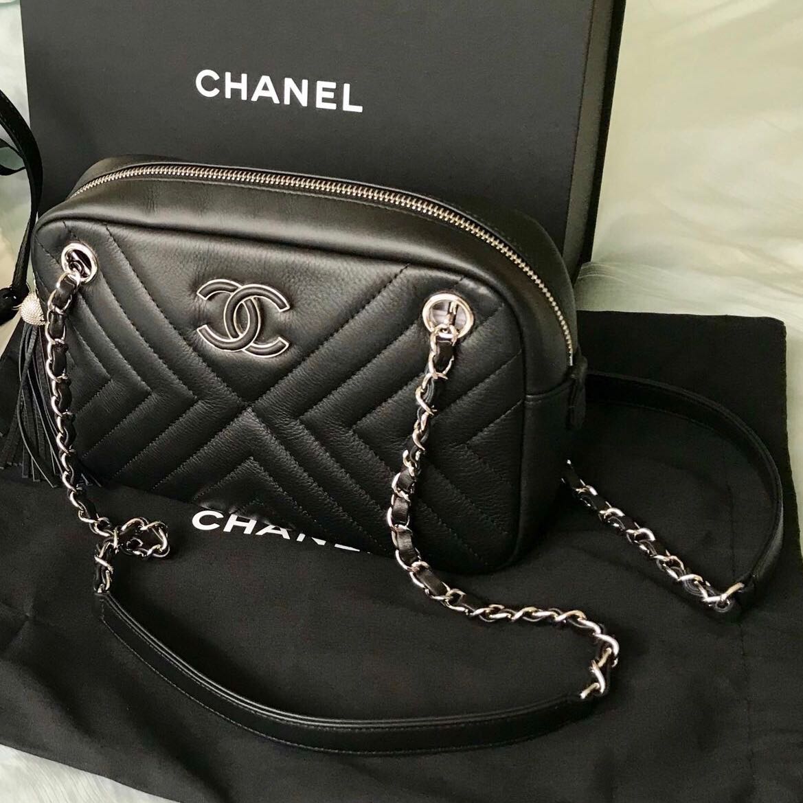 chanel camera bag 2018