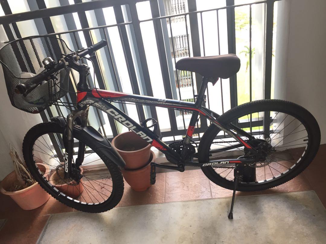 bicycle with basket for sale