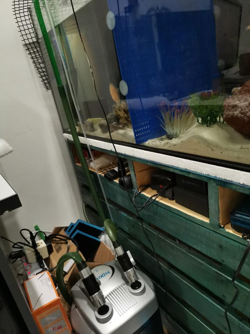 Custom Size Aquarium Tank / Fish Tank, Pet Supplies, Homes & Other Pet  Accessories On Carousell