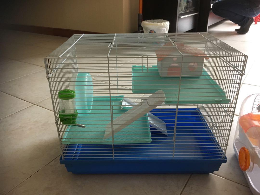 Get Wallpaper Hamster Cage Pet Supplies For Small Animals Other Supplies On Desktop Wallpaper Free