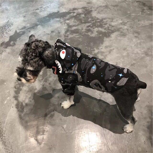 Hype Beast Pet Clothes Pet Supplies For Dogs Dog Accessories On