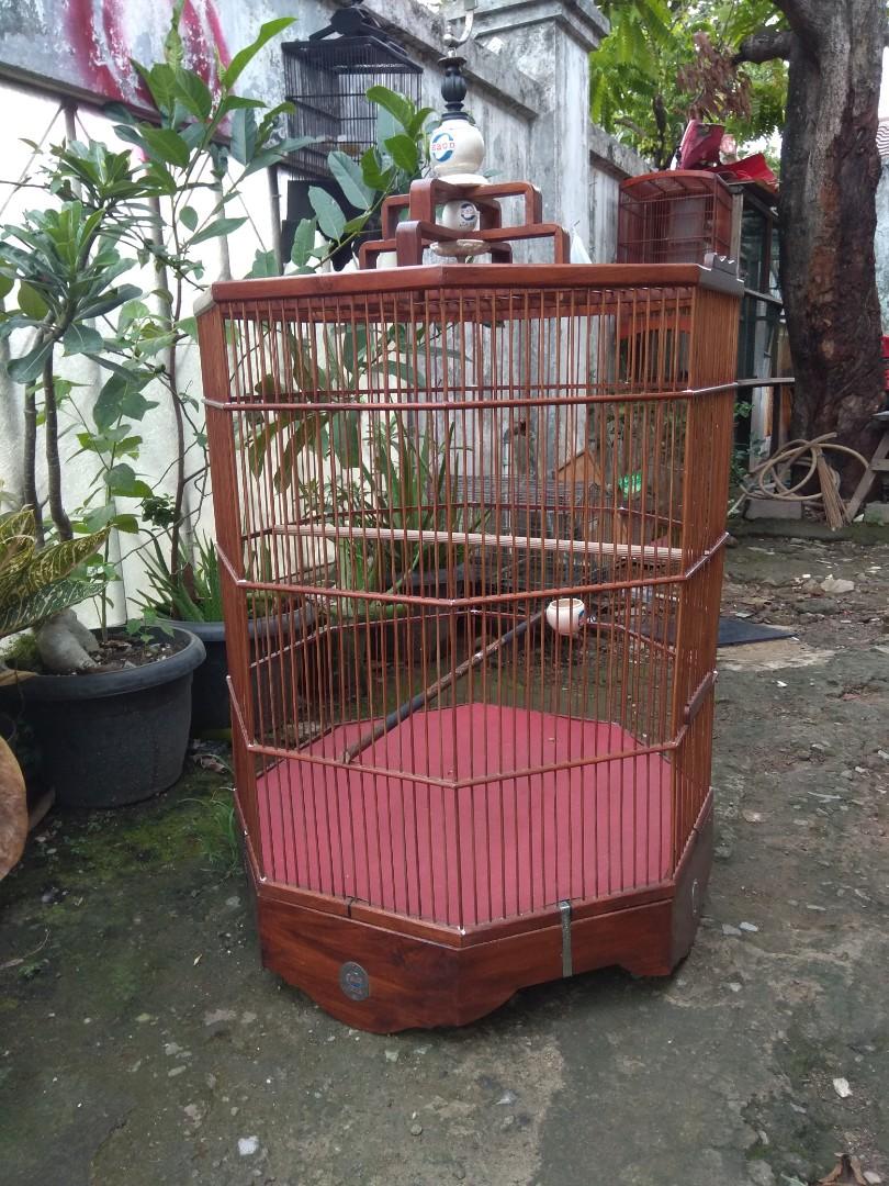 Kandang Atau Sangkar Murai Ebod Segi 8 Perlengkapan Hewan Aksesoris Hewan Di Carousell