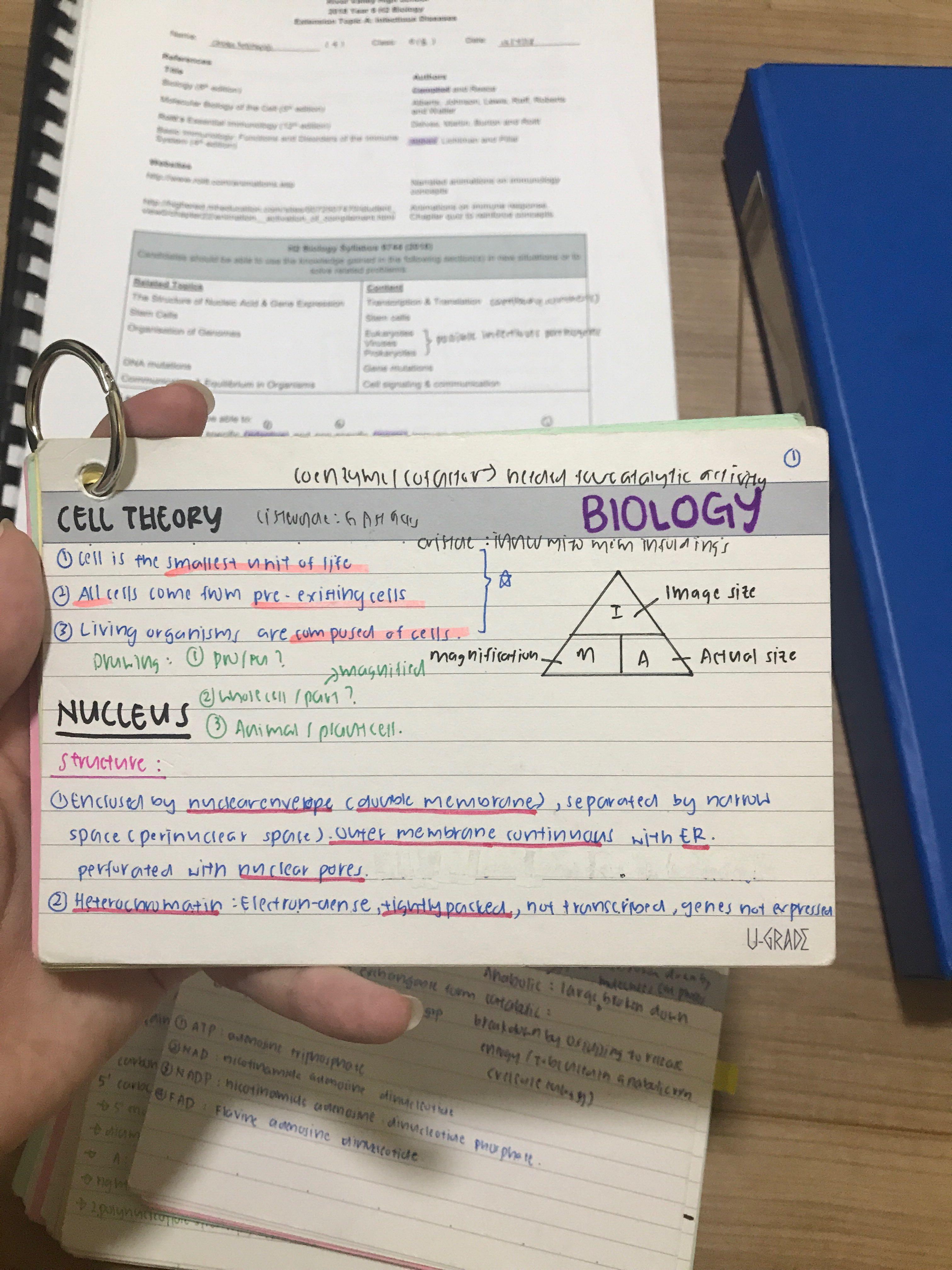 A levels H2 Biology flashcards, Hobbies & Toys, Books & Magazines
